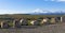 Viewing platform overlooking the Elbrus.Pass Gumbashi.