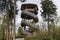 Viewing wooden tower for animal watching, Bavaria, Germany.