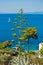 Viewpoint from appartment house surrounded by greenery at the coast of Skopelos island near Panormos bay