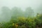 Viewpoint area with mist in winter season at Phayao province