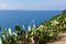 Viewpoint at Capo Vaticano , Calabria