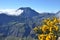 Viewpoint into Cirque de Cilaos, Reunion island