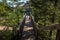 Viewpoint, forest, pure nature, West Tatras, Slovakia