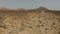 Viewpoint, hill, desert, Parque Hollandes, Fuerteventura. Canary Islands