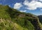 Viewpoint over the forest of Los Tilos