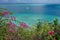 Viewpoint over lagoon with boats and flowers