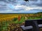 Viewpoint over the vineyards and the Alsace plain