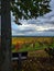 Viewpoint over the vineyards and the Alsace plain