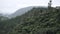 viewpoint overlooking the trees of the new zealand forest