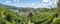Viewpoint panorama resort lee wine ban rak thai in tea plantation