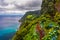 Viewpoint Ponta do Sossego, Sao Miguel Island, Azores, Portugal. View of flowers on a mountain and the ocean in Miradouro da Ponta