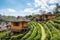 Viewpoint resort earth house in tea plantation at lee wine ban r