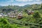 Viewpoint resort lee wine ban rak thai in tea plantation