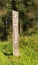 Viewpoint sign in rural wooded rural area with grass and trees 180 degree view