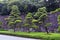 Views from around the ancient Kyoto Gosho Imperial Royal Palace in Tokyo Japan including paths, moat, bridge, gardens and trees.