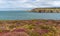 Views around South Stack Lighthouse with the heather out