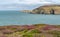 Views around South Stack Lighthouse with the heather out