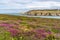 Views around South Stack Lighthouse with the heather out