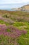 Views around South Stack Lighthouse with the heather out