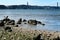 Views of the Banks of the Tagus river in Lisbon