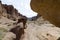 Views within the Charyn Canyon to the reddish sandstone cliffs