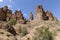 Views within the Charyn Canyon to the reddish sandstone cliffs.
