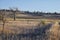 Views from the Cradleboard Trail walking path on the Carolyn Holmberg Preserve in Broomfield Colorado surrounded by Cattails, wild