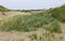 Views of the dunes of the North Sea