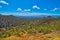 Views from Gould Mine in Saguaro National Park, Tucson Arizona