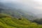 Views of green Longji terraced fields