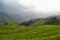 Views of green Longji terraced fields