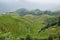 Views of green Longji terraced fields