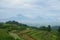 views of green rice fields on the hill
