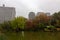 Views from Hibiya park in Tokyo Japan