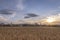 Views from the hill with a cereal field in the first term of Arevalo, Avila, Castilla Leon, Spain