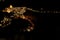 Views of the illuminated village of Alcala del Jucar at night from the viewpoint