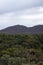 Views inside Wilpena Pound, SA, Australia