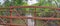 Views of Jordan River Trail Pedestrian and Train Track Bridge with surrounding trees, Russian Olive, cottonwood and muddy stream a