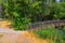 Views of Jordan River Trail Pedestrian and Train Track Bridge with surrounding trees, Russian Olive, cottonwood and muddy stream a