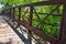 Views of Jordan River Trail Pedestrian and Train Track Bridge with surrounding trees, Russian Olive, cottonwood and muddy stream a