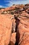 Views from the Lower Sand Cove trail to the Vortex formation, by Snow Canyon State Park in the Red Cliffs National Conservation Ar