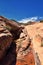 Views from the Lower Sand Cove trail to the Vortex formation, by Snow Canyon State Park in the Red Cliffs National Conservation Ar