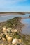 Views of mudflat at low tide