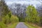 Views of Nature and Pathways along the Shelby Bottoms Greenway and Natural Area Cumberland River frontage trails, bottomland hardw