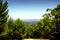 Views overlooking Adelaide city framed by trees and Australian bushland.