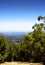 Views overlooking Adelaide city framed by trees and Australian bushland.