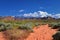 Views of Red Mountain Wilderness and Snow Canyon State Park from the  Millcreek Trail and Washington Hollow by St George, Utah in