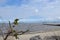 Views of the Rio de la Plata in the city of Colonia del Sacramento, Uruguay