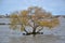 Views of the Rio de la Plata in the city of Colonia del Sacramento, Uruguay