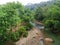 views of the river and trees that are so dense and lush